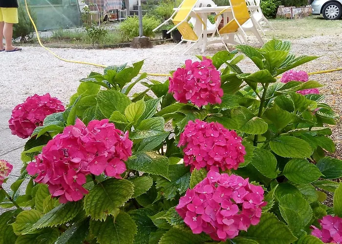 La Casa de hóspedes 3*